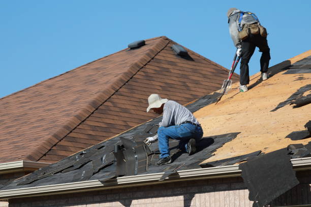 Best Emergency Roof Repair Services  in Fruit Cove, FL