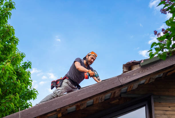 Roof Moss and Algae Removal in Fruit Cove, FL