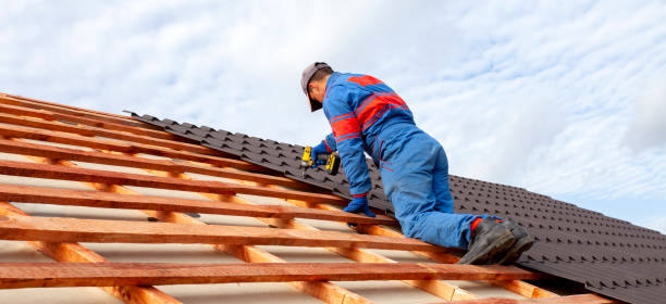 Best Roof Maintenance and Cleaning  in Fruit Cove, FL